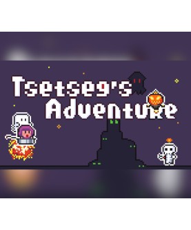 Tsetseg's Adventure Steam Key GLOBAL